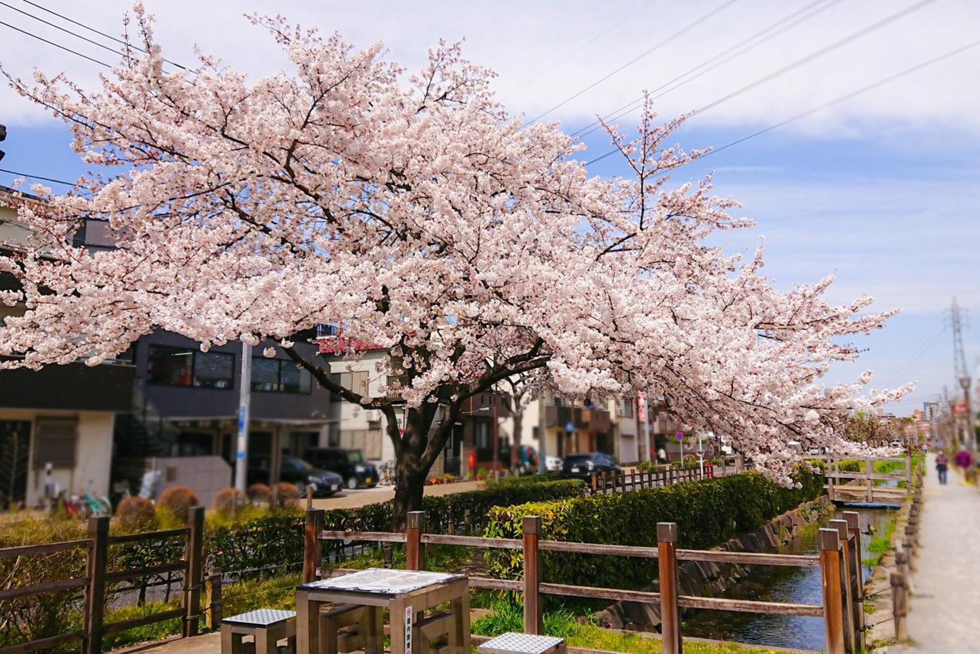 Sc Heights 103 Apartment Tokyo Bagian luar foto